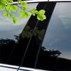 Car Sticker Pillar Posts Door Trim Covers Decorative Accessories 2007 2008 2009 2010 6Pcs For Honda Civic 2006-2011