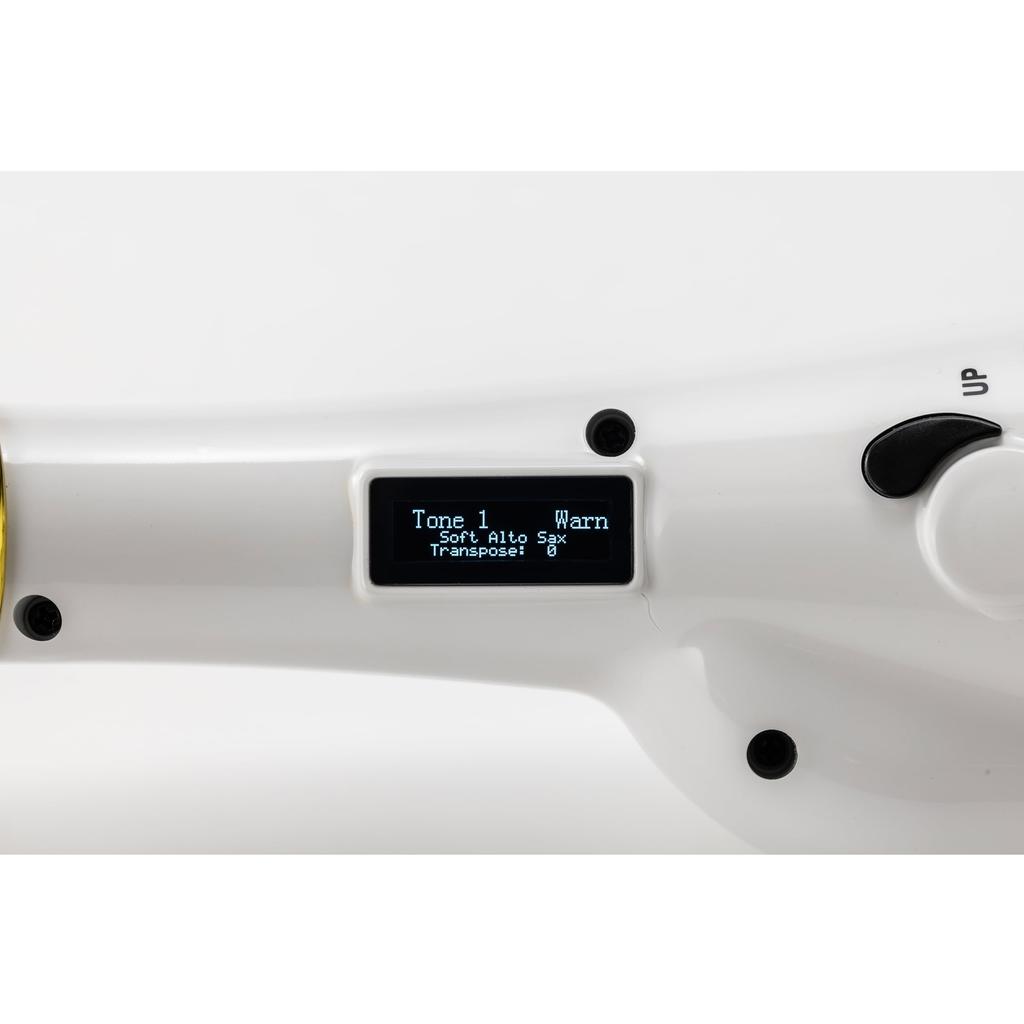 Elesa10 Elektronický saxofon s TAHORNG Dechový syntezátor ELS10BK (Černá)
