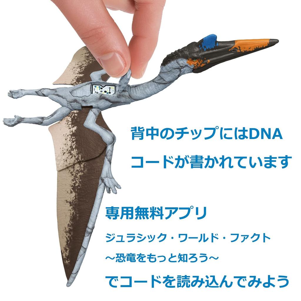 Mattel Jurassic World Big Action Figure: New Ruler Quetzalcoatlus (HDX48 Green, Large) [Total Length: Approx. 36cm] [Ages 4 and Up]