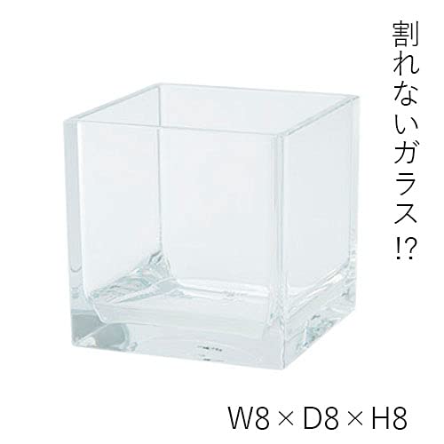 HAMMER GLASS Cube Vase, W8 x H8, Clear, Shatterproof Polycarbonate, 2300176