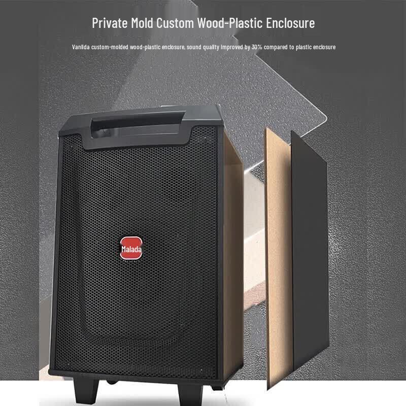 Malata M+9047 12-inch Portable Outdoor Karaoke Speaker (CN Version)