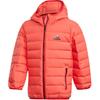 Pre School Down Jackets Hooded Thickened GG3630