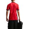 Nike Dri-Fit Chengdu Rongcheng Home Fan Edition Quick-Dry Crew Neck Short Sleeve Football Shirt Men tops IQ0487-614
