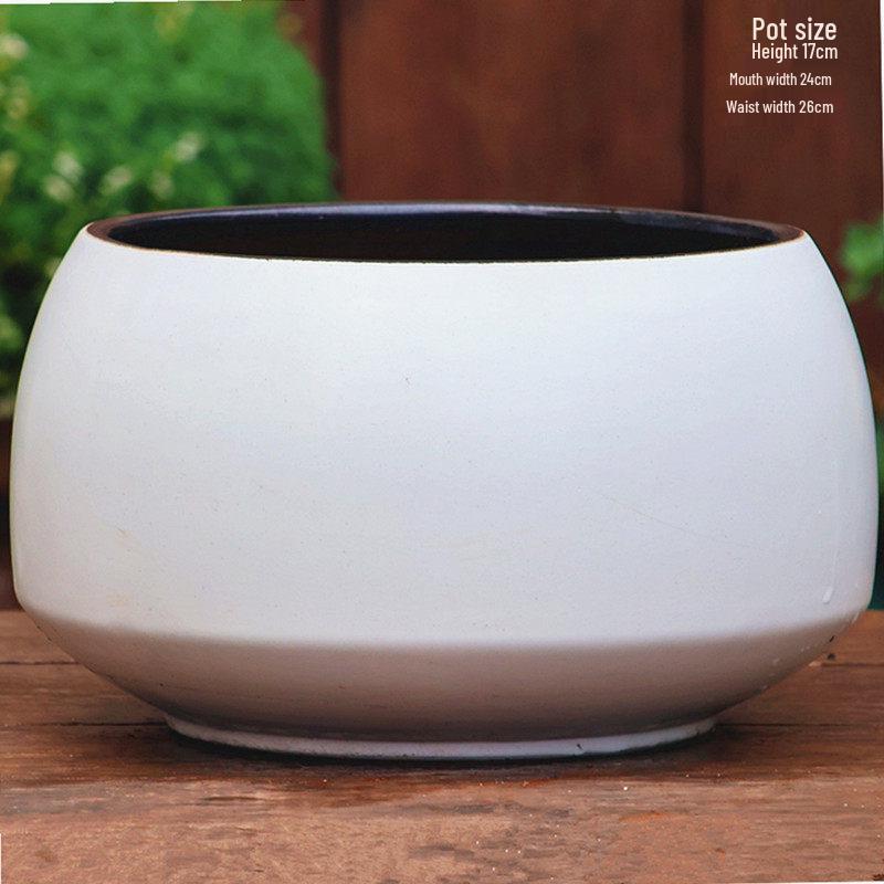 Extra Large White Ceramic Pot: European Style Succulent and Flower Pot for Courtyard Landscaping with Rough Texture and Large Caliber.