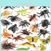 High Quality Pvc Static Insect Models Including Butterflies Beetles And Colorful Caterpillars