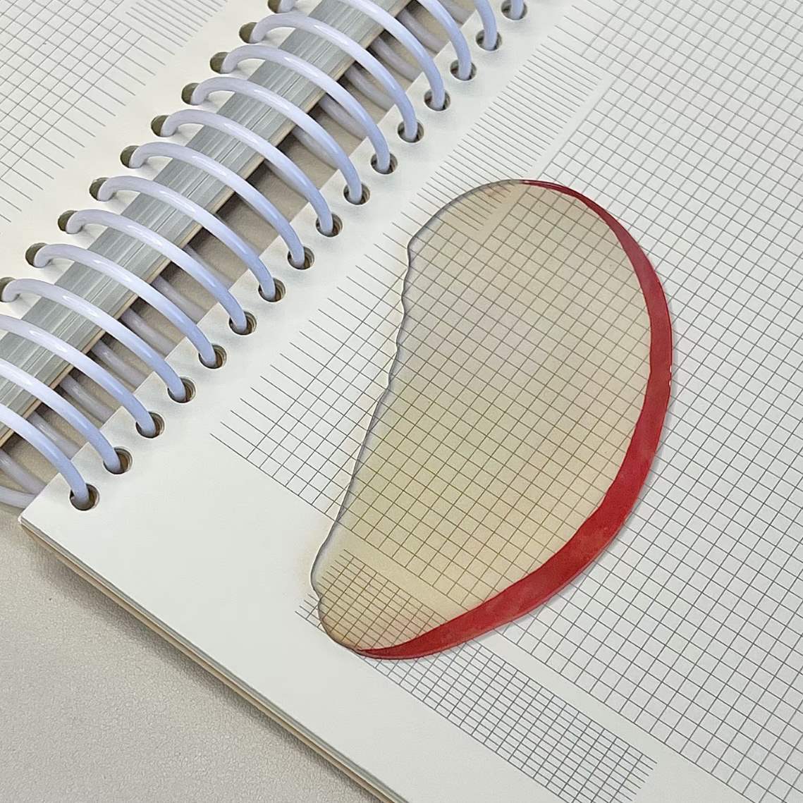 

Creative Apple Slice Bookmark With Simulation Funny Design Sense For INS Fixed Book Photography Cartoon Cute Note Bookmark