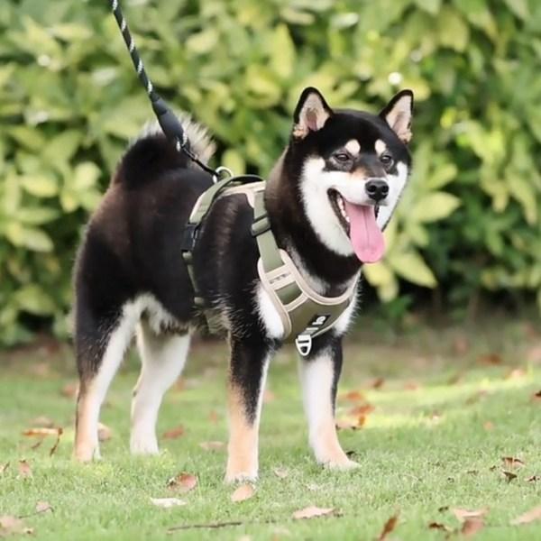 Selwhee Dog Harness, Large Dog Harness, Anti-flip H Type Harness, Dark Black