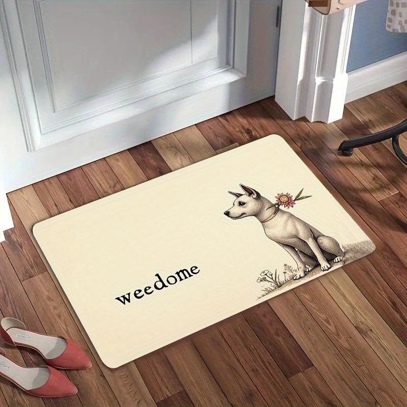 Stylish Colorful Shape Washable Door Mat Slip Resistant Rug For Front Porch And Modern Apartment Decoration