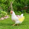 Selle per Polli Grembiule Regolabile per Galline Lavabile Traspirante Protezione Schiena Pollame Impermeabile Protezione Piume Abbigliamento per Animali Domestici