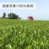 Itoen Oi Ocha Matcha Green Tea 70g Made 100 Domestic Leaves Stand-Up Bag Zipper