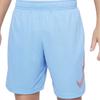 Nike Kids Shorts Moderate DM8537-412