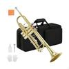 Trumpet with Cleaning Kit Lacquered Hard Case ThreeWind Control Brass Instrument for