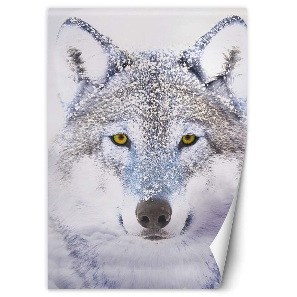 Wallpaper Portrait of a wolf in winter