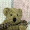 [USED] HANDY Teddy Bear Plush Toy (Used)