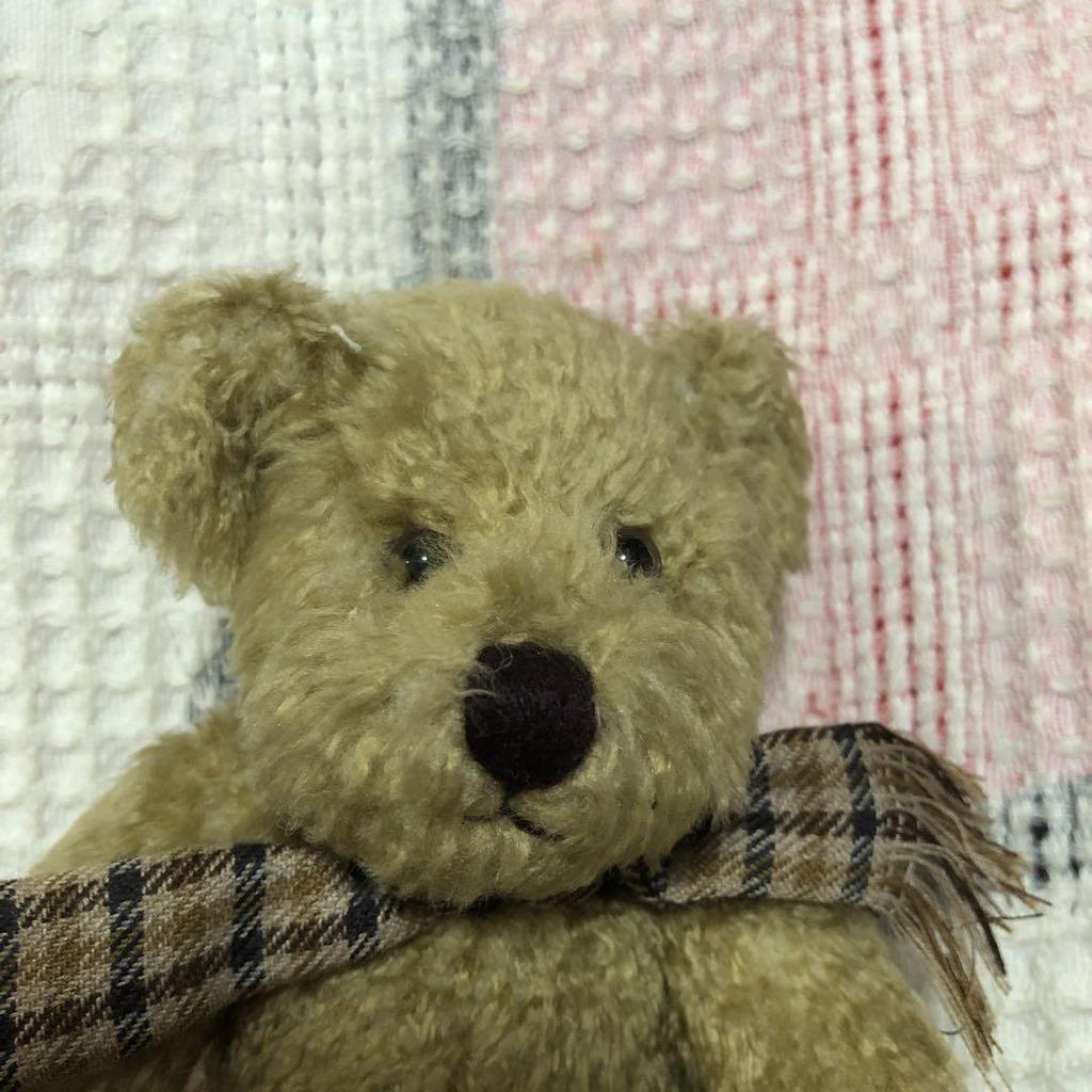 [USED] HANDY Teddy Bear Plush Toy (Used)