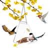 Bird Feeder Clear Acrylic Hanging Wild Bird Feeder Seed Tray for Indoor and Outdoor Garden