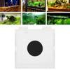 Acrylic Magnetic Aquarium Fish Breeding Isolation Box for Baby Fish Hatchery Incubator Cage