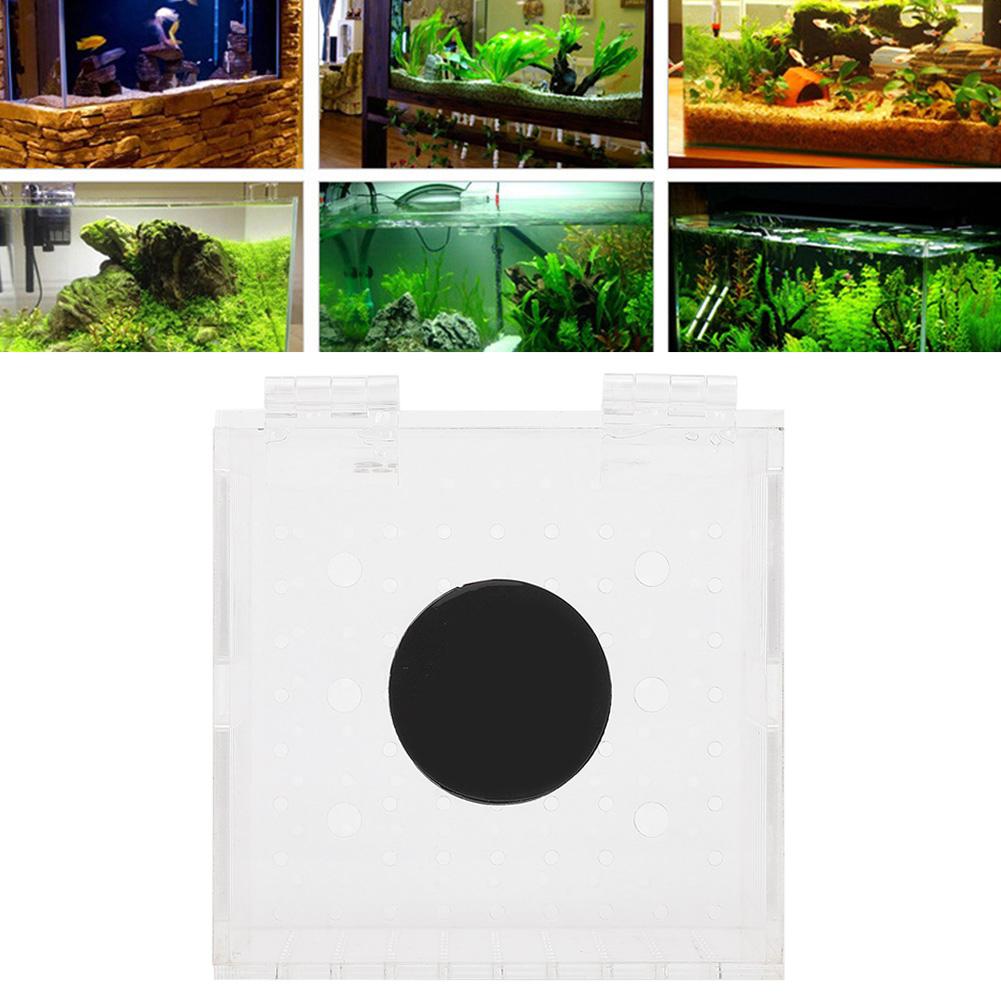 Acrylic Magnetic Aquarium Fish Breeding Isolation Box for Baby Fish Hatchery Incubator Cage