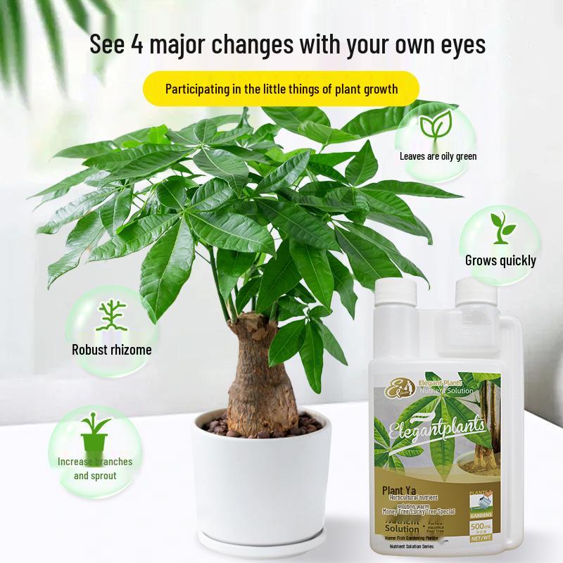 Obecný roztok živin pro rostliny pro pěstování květin, zelených rostlin, potosů a penízovníků, hydroponické tekuté hnojivo