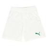 Boys Velize Logo Shorts
