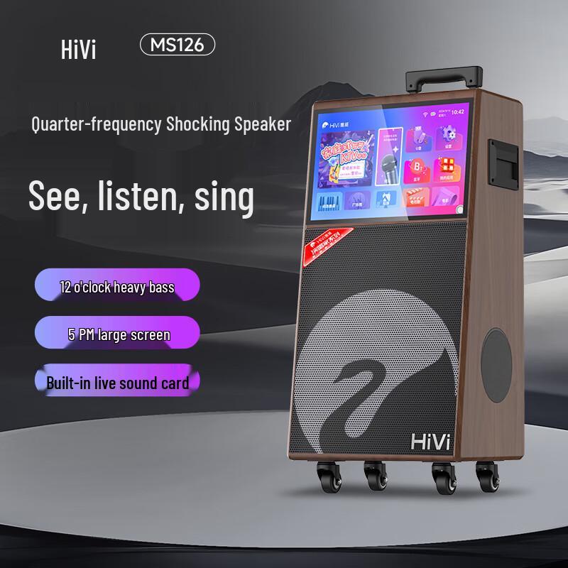 HiVi Portable KTV Karaoke Speaker System