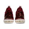 New Nike LeBron 16 King GS AQ2465-601