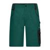 James and Nicholson Unisex Adult Strong Cargo Shorts