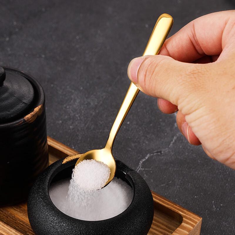 304 Stainless Steel Mini Seasoning Spoons (10-Pack)