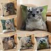 Rock Hyrax Animal Funny Cushion Cover Silky Short Plush Invisible Zipper Dustproof Sofa Pillow Case for Home Decor