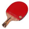 Racchetta da Ping Pong DHS Hurricane 7 Stelle Manico a Penna