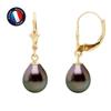 Earrings - - Genuine Tahitian Pearls - 8-9 Mm - Yellow Gold - Woman