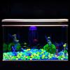 Glow-in-the-Dark Garden Stones Colorful Decorative Aquarium Pebbles Fish Tank Rocks 0.8-1.1cm Luminous Pebbles for Outdoor Walkway Aquarium Landscape