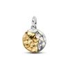 New 925 Silver Summer Coin Twelve Constellation Carving Hang Tag Charm Beads Suitable for Bracelets, Necklaces, Fashion Jewelry