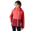 Regatta Childrens/Kids Haydenbury II Soft Shell Jacket