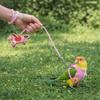 Anti-Bite Bird Harness Leash Adjustable Anti-flying Bird Training Rope Elastic Rope Lightweight Parrot Traction Rope