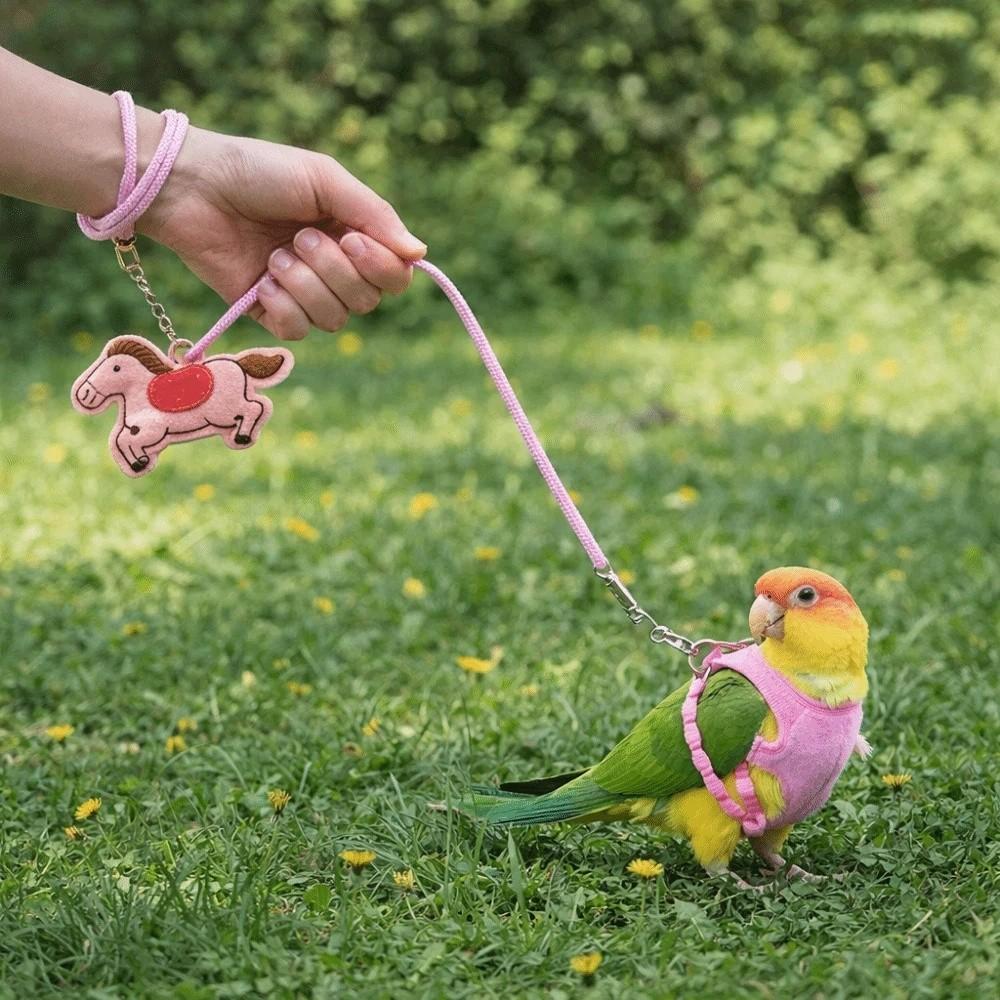 Anti-Bite Bird Harness Leash Adjustable Anti-flying Bird Training Rope Elastic Rope Lightweight Parrot Traction Rope