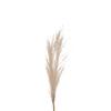 Decoration Plante Living Room Bedroom Pampas Grass Artificial Flower Fake Flowers Artificial Reed