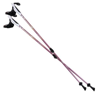 Naito Made In Japan Nordic Walking Pole Two Pole 16 Lever S Type Set of 2 Telescopic Pole Compatible with Height Approximately (Night Crafts)