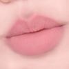 AMUSE Lip Smudger