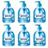 Blue Moon Wild Chrysanthemum Hand Sanitizer, 6 X 500g