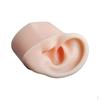 Flexible Silicone Ear Model with Base - Enhanced Training Tool for Impression Taking