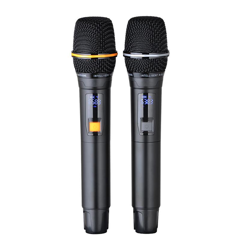 Runpu 10-inch Portable Conference & Karaoke Trolley Speaker (CN version)
