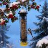 Bird Feeder Squirrel Proof Tube Metal Mesh Squirrel Proof Heavy Duty Decor Tube Bird Feeders for Garden Balcony Patio Tree