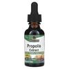 Nature's Answer, Extrait de Propolis, Sans Alcool, 1 000 mg, 1 fl oz (30 ml)