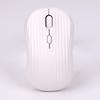 OLOEY Dual-Mode Wireless Silent Mouse