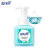 Blue Moon Fresh Fruit Mint Foam Hand Sanitizer