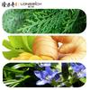 Longliqi Oil Control & Volumizing Shampoo
