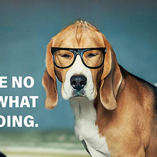 Desk Dogs 2026 Calendar Funny Dogs Illustrations Wall Calendar Jan.2026-Dec.2026 12 Monthly Planner for Home Office