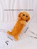 Dog Pencil Case Large Capacity Pencil Pouch Stationery Desk Organizer School Supplies Back To School Novelty Gifts Pencil Ca