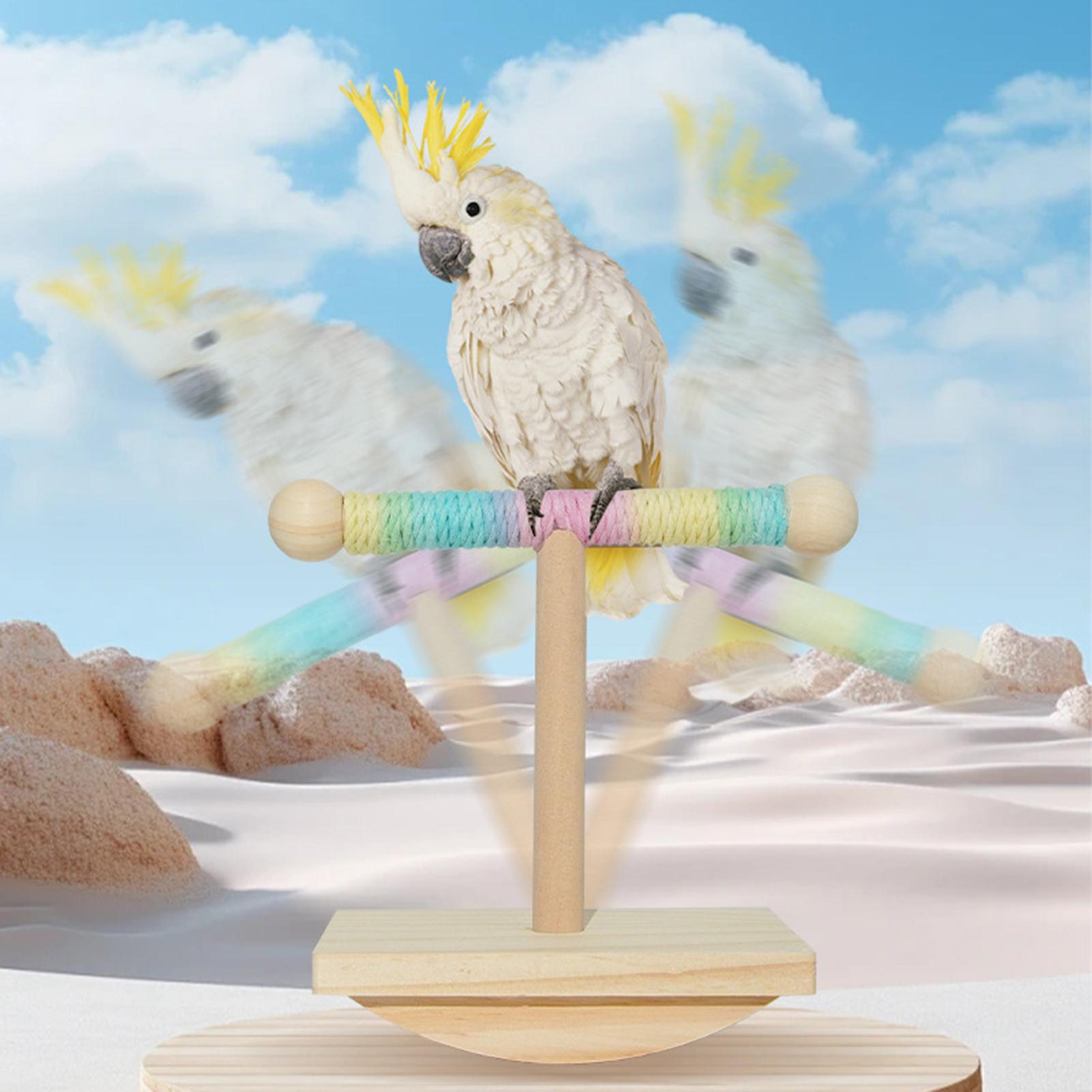 Parrot Perch Stand Interactive Wooden Parrot Playstand Pet Bird Accessories Bite-resistant Trainer Standing For Budgies Parrot China Mainland